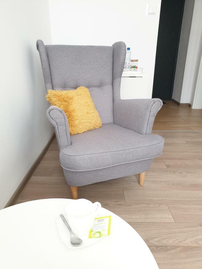 Apartament Skandia Stary Toruń Exteriér fotografie